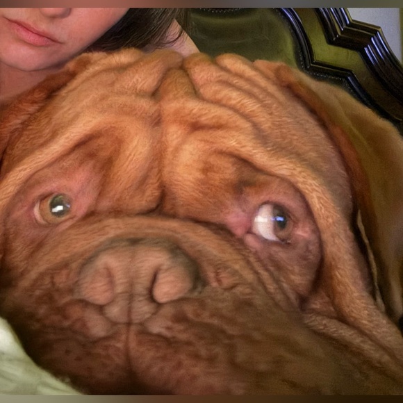 Additional Shipping Label 💌📦 - Picture 2 of 2